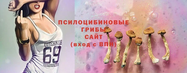 а пвп мука Белокуриха