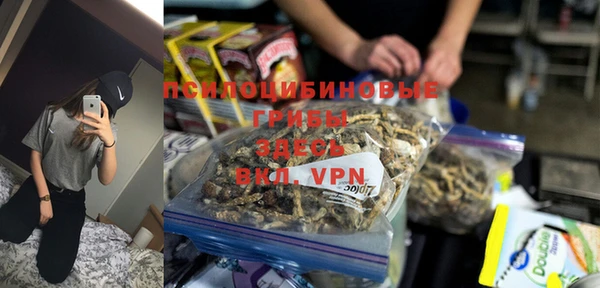 ГАЛЛЮЦИНОГЕННЫЕ ГРИБЫ Беломорск