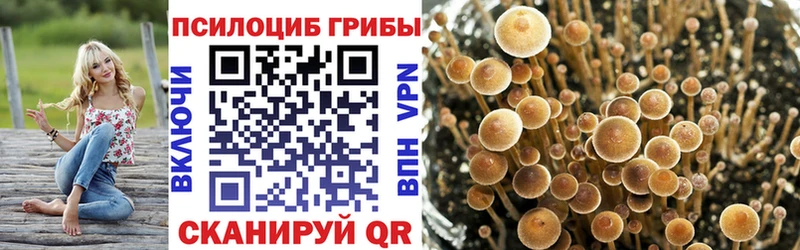 даркнет сайт  Нижнеудинск  Галлюциногенные грибы Magic Shrooms 